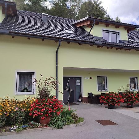 Apartments And Wellness Jelovca Radovljica Exteriör bild