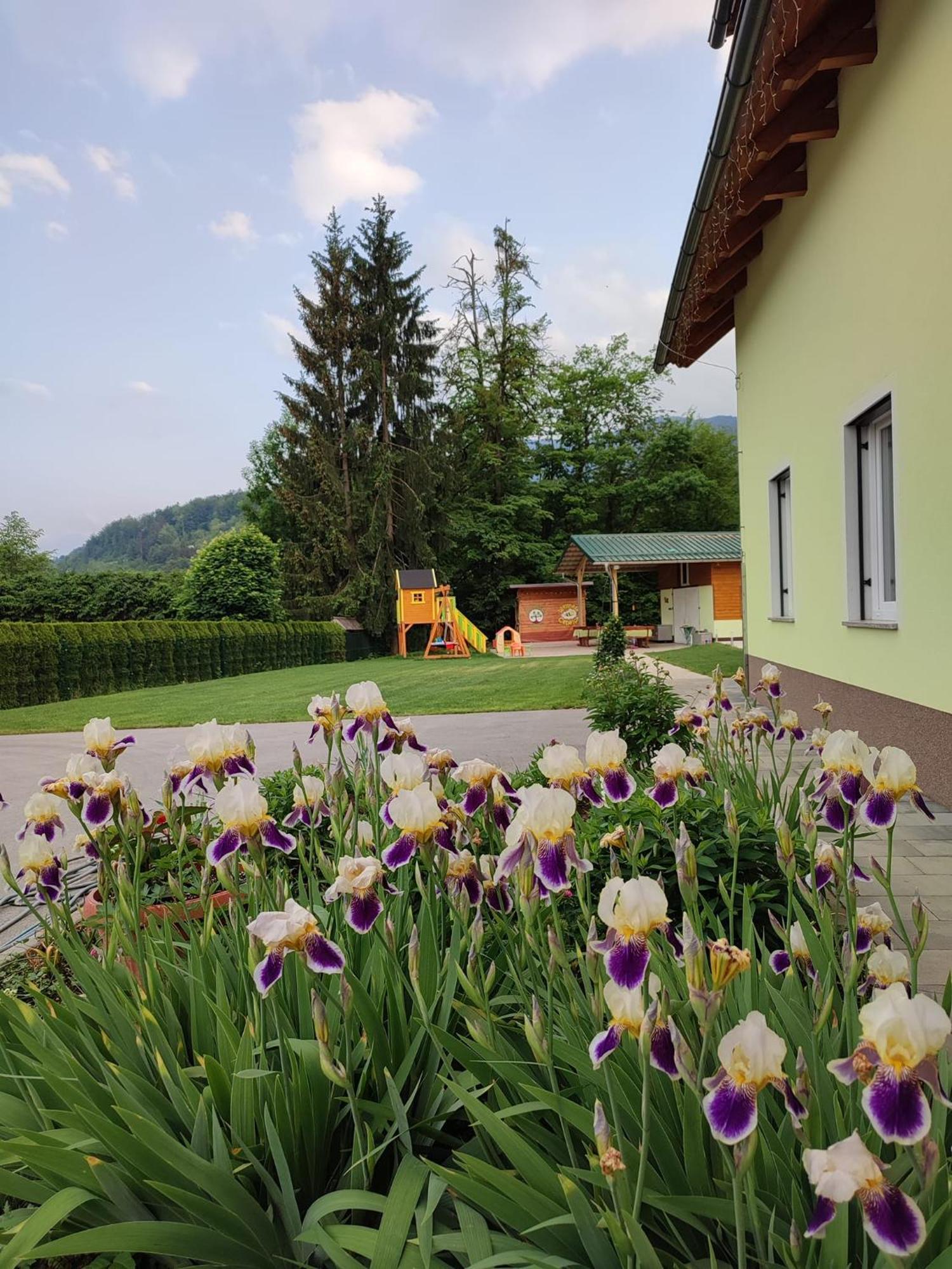 Apartments And Wellness Jelovca Radovljica Exteriör bild
